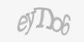 Захисний код