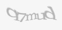 Захисний код