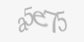 Захисний код