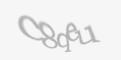 Захисний код