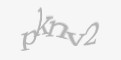 Захисний код