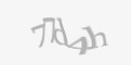 Захисний код