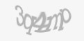 Захисний код