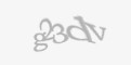 Захисний код