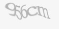 Захисний код