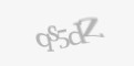 Захисний код