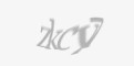 Захисний код