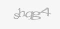 Захисний код